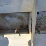 grand-chassis-aluminium-plexiglass-03